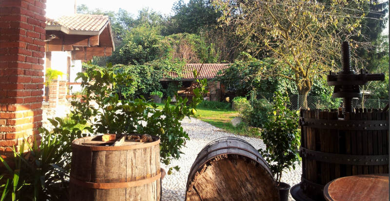 Regalo originale degustazione vini Piemonte tra tradizione e natura