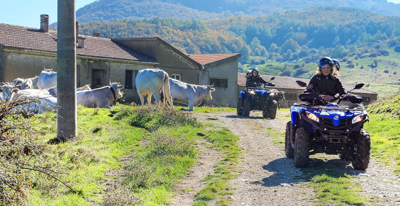 Percorso in quad su sentieri sterrati in Basilicata