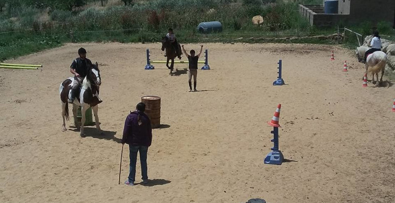 Imparare a cavalcare con lezioni di equitazione ad Enna