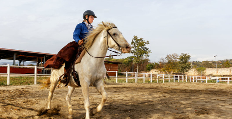Cavalcare a Verona durante una lezione di equitazione