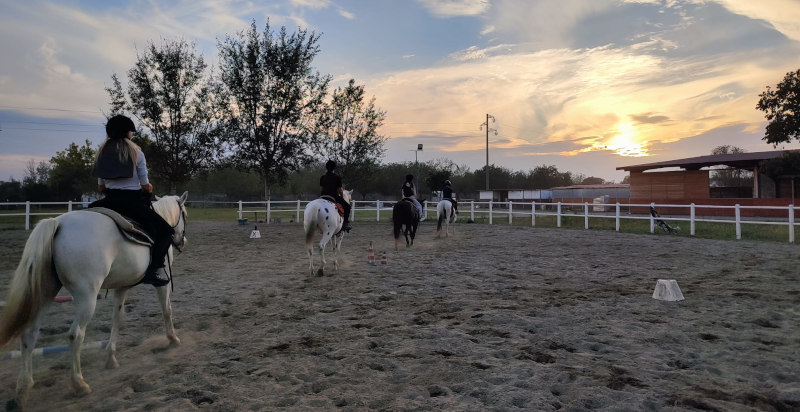 Regalo originale, lezione di equitazione a Verona