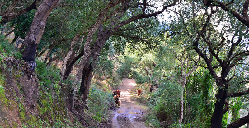 Natura selvaggia in Sicilia, escursione in fuoristrada