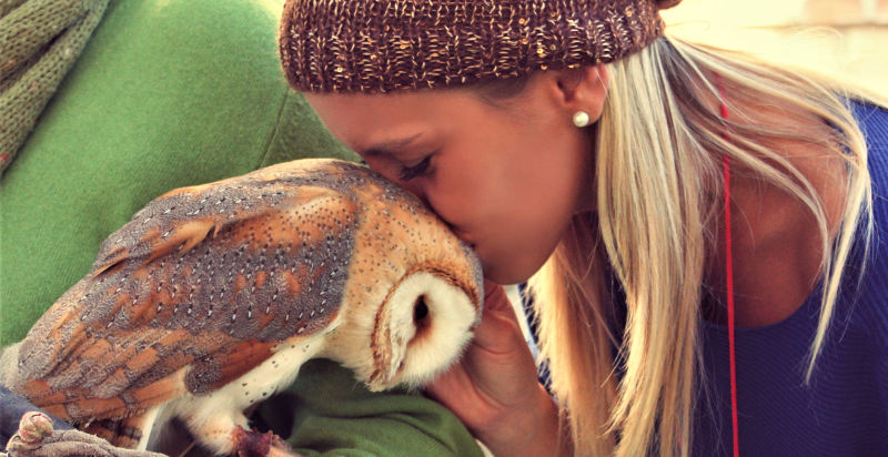 Giornata di falconeria con barbagianni, allocco e gufo