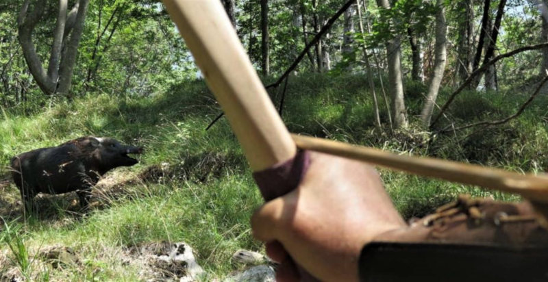 Percorso di tiro con l’arco immerso nella natura del Trentino
