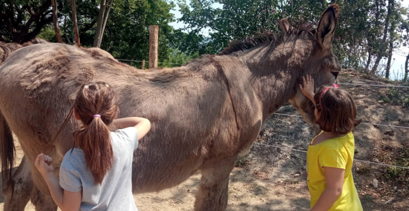 bambini giocano e coccolano un asino a Pietra Ligure