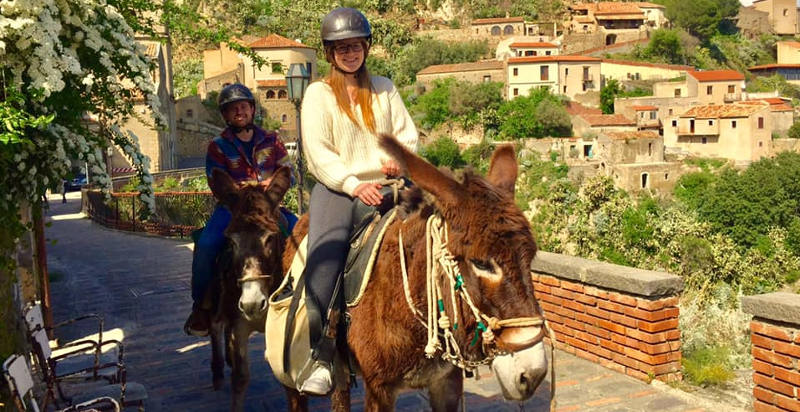 asino-trekking-sicilia