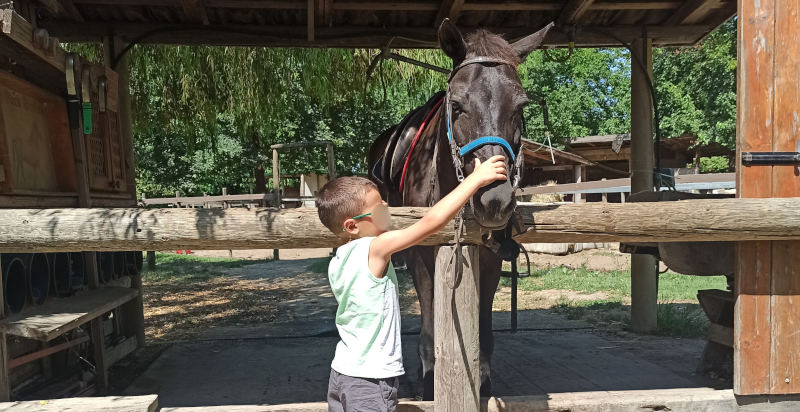 Lezioni equitazione adulti e bambini in provincia di Rovigo