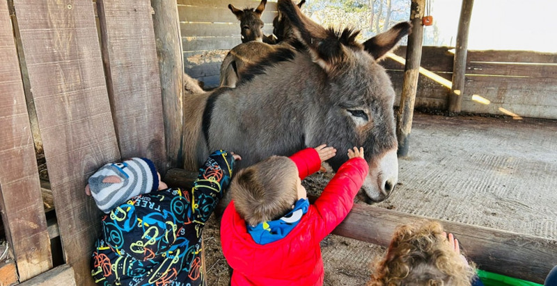 Bambini carezzano un asino nella fattoria a Pietra Ligure