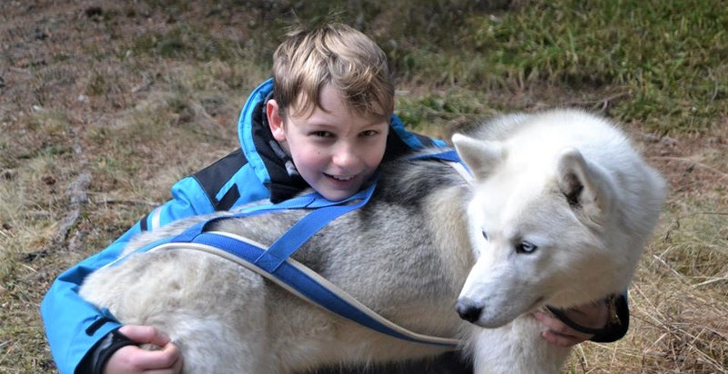 belluno-cani-passeggiata