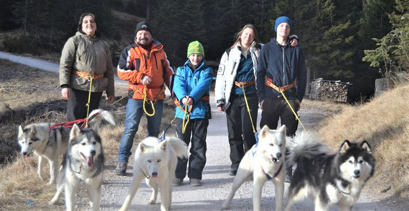 belluno-passeggiata-cani