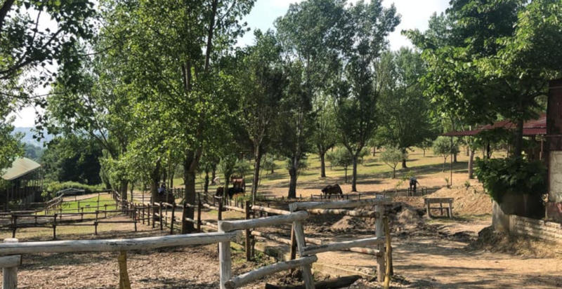 Centro Equestre per le lezioni di equitazione in provincia di Benevento