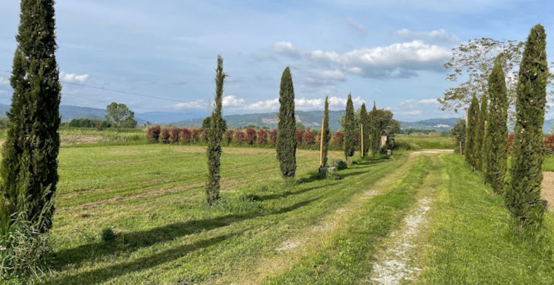 Brunch di domenica alla Fattoria Agata in provincia di Pistoia