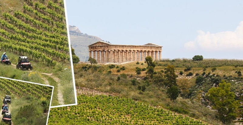 Tour guidato in buggy tra le campagne segestane