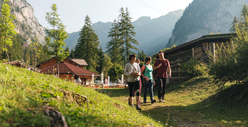 Un'esperienza unica nella natura delle Dolomiti con pernottamento in StarsBox