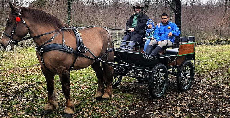 Carrozza trainata da cavalli nel cuore della natura siciliana