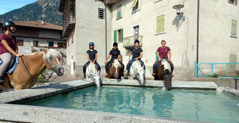 i cavalli bevono l'acqua dalla fontana in un borgo storico Trentino