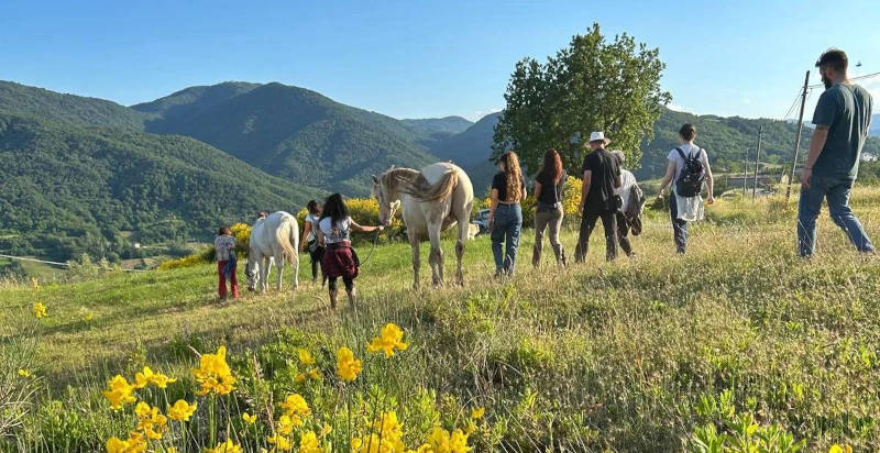 Cavalli tra le colline di Vernasca, Piacenza