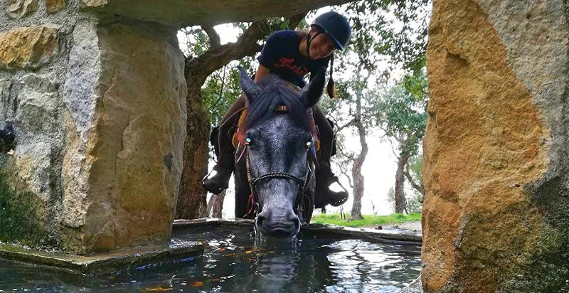 cavallo-escursioni-madonie-chalet