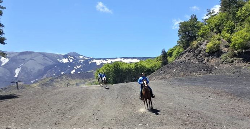 cavallo-sicilia-passeggiata