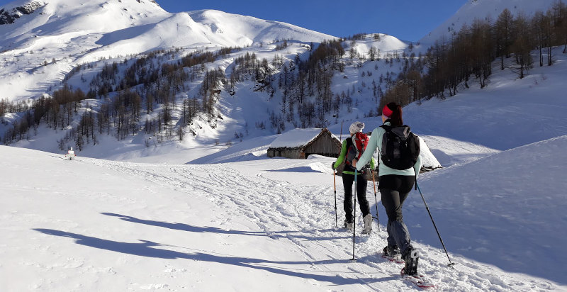Escursioni con le ciaspole in Piemonte: trekking invernale tra boschi e montagne innevate