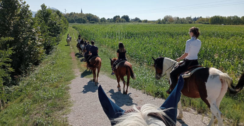 Passeggiata a cavallo tra i Colli Euganei a Montegaldella