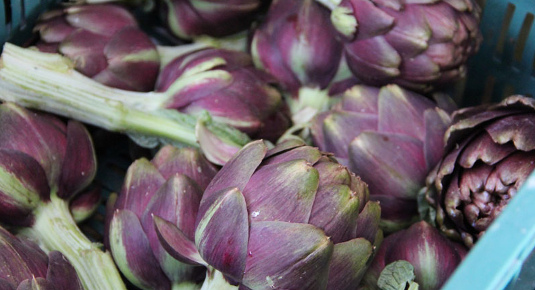 Passeggiata tra i vicoli di Mazzano Romano alla ricerca di ingredienti freschi