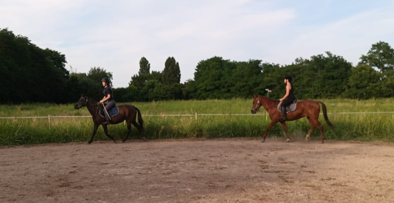 Corso di equitazione per adulti con istruttore esperto in Veneto