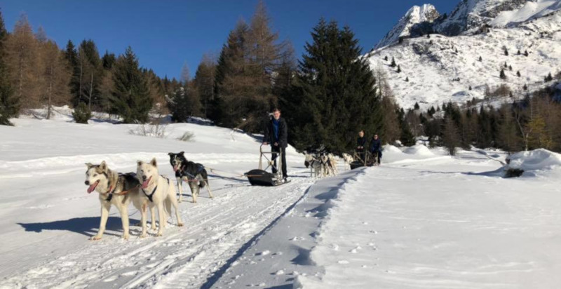 Musher guida una slitta trainata da cani attraverso un paesaggio innevato