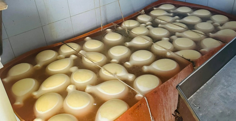 Degustazione di formaggi tipici siciliani in alta montagna