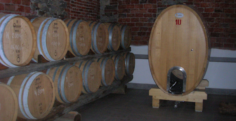 Botti di rovere per invecchiamento vini DOC in cantina storica piemontese