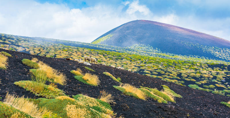 degustazione vini vulcano etna