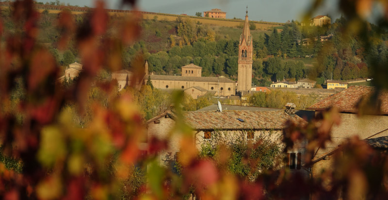 Visita cantina vino Modena con degustazione