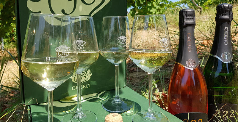 Calici di vino durante una degustazione nell'Oltrepò Pavese