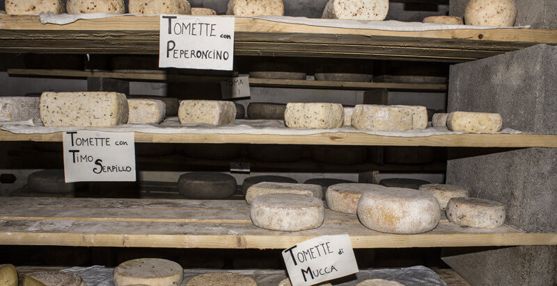 diverse forme di formaggi - escursione quad con aperitivo a Sestriere Torino