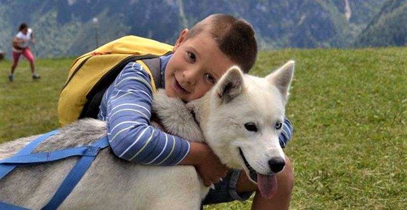 dog-trekking-belluno