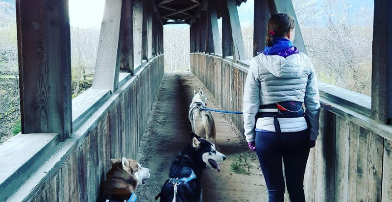 Trekking con gli Husky – Un'avventura tra i paesaggi alpini dell'Alto Adige