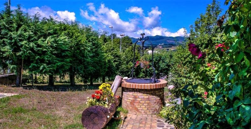 Paesaggio verdeggiante e coltivazioni biologiche nella Tenuta Bocchineri