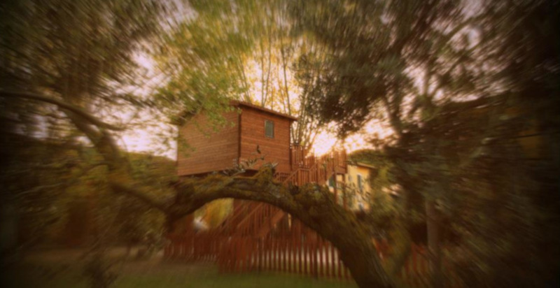Dormire in una casa sull'albero