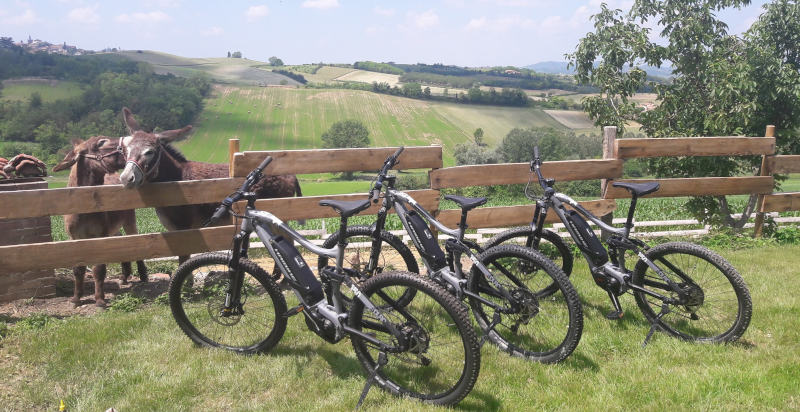 Escursione in e-MTB tra le colline del Monferrato patrimonio UNESCO