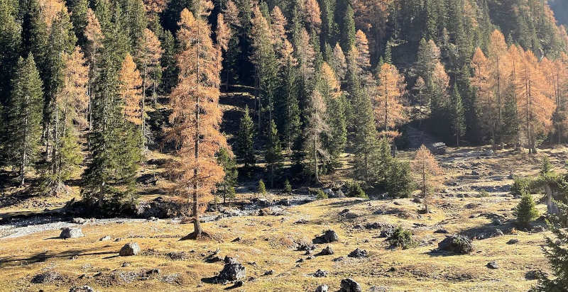 Escape room all’aperto, gioco di squadra tra enigmi e prove fisiche