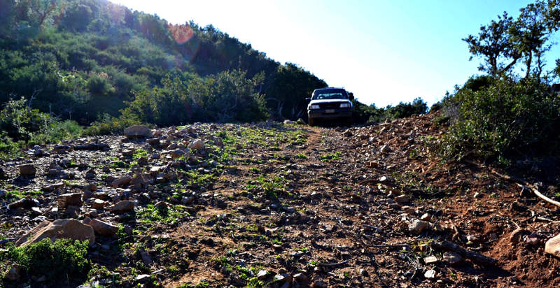 Natura selvaggia in Sicilia