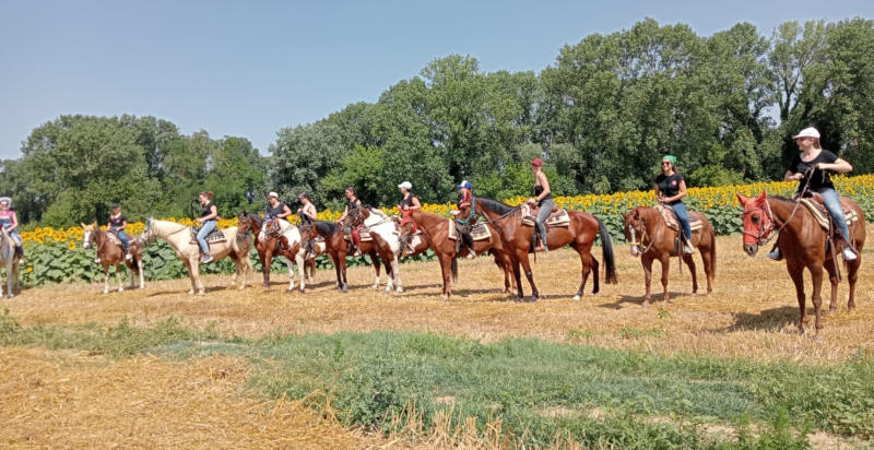 Escursione a cavallo immersa nella natura di Montegaldella