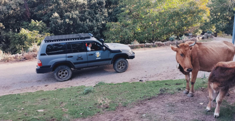 Tour 4x4 con partenza da Oristano in Sardegna