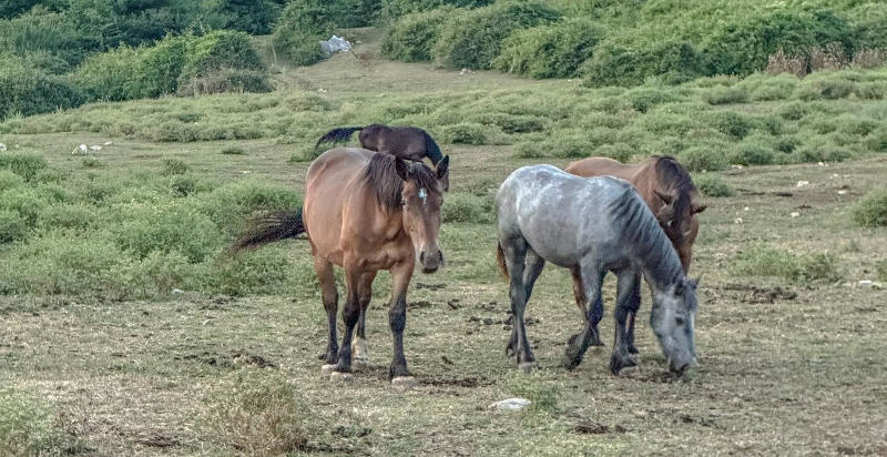 Escursione guidata in quad a Rocca Massima per principianti ed esperti