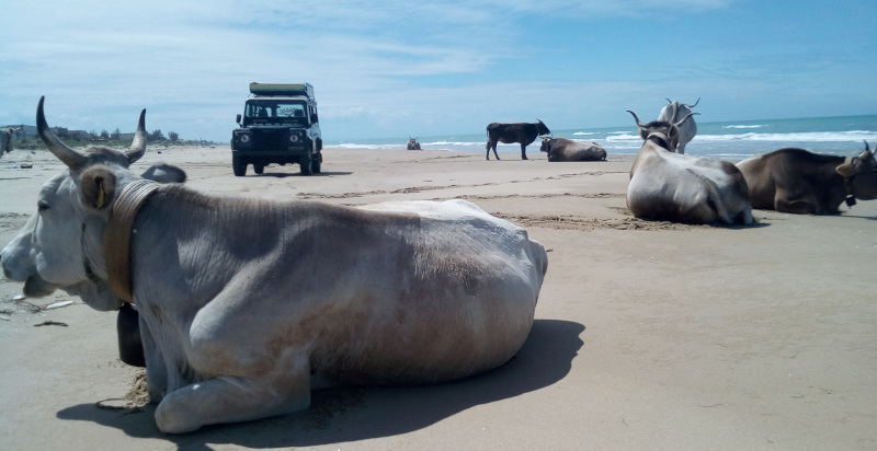 Spiagge incontaminate scoperte durante l'escursione 4x4 in Puglia