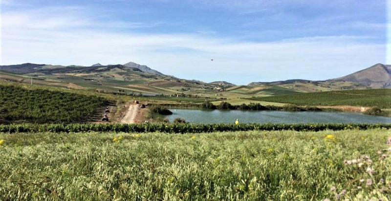 Panoramica siciliana durante l'escursione in jeep con partenza da Segesta 