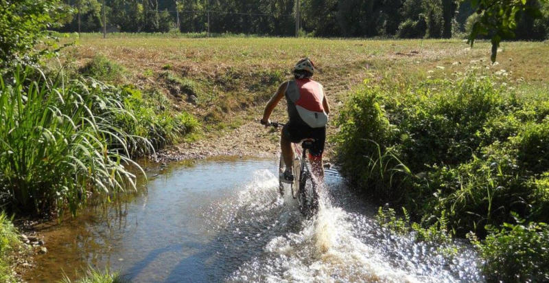 Mountain bike in Umbria: sentieri e panorami imperdibili per tutti