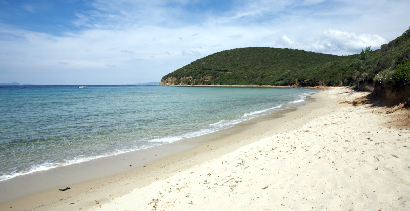 Escursione privata in barca da Marina di Scarlino