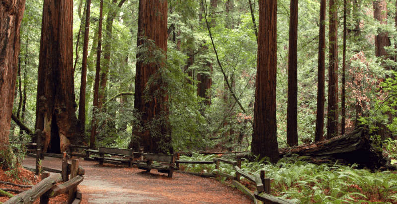 Escursione in quad tra boschi e colline della Lessinia