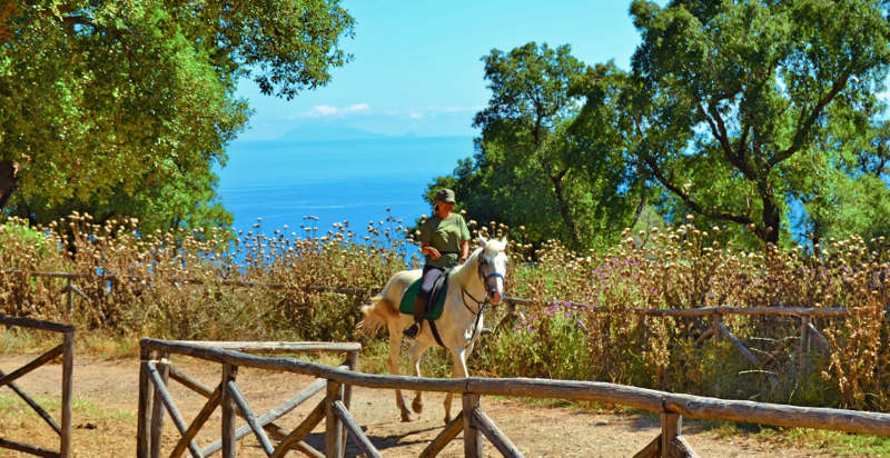 escursioni-cavallo-madonie-jeep